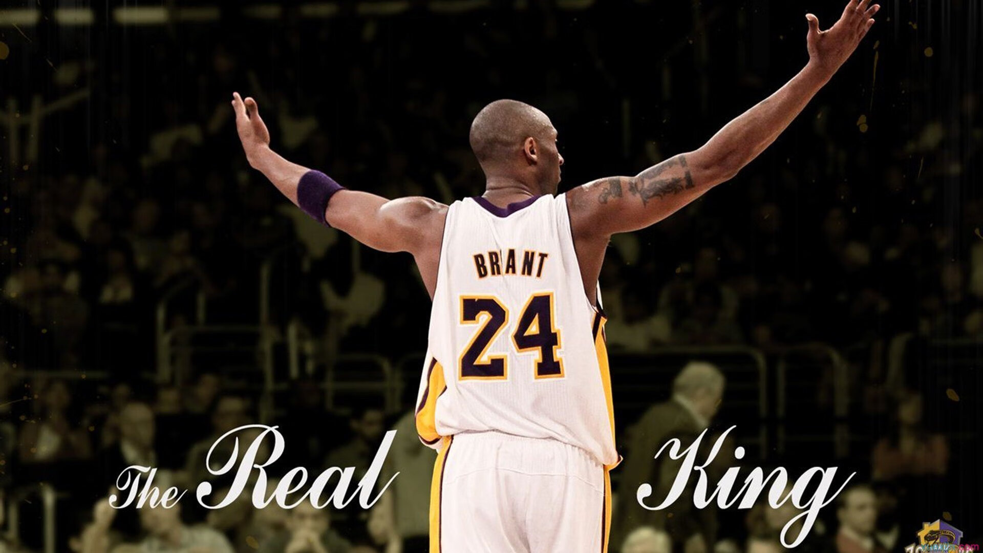 米兰体育登录-电竞时代宠儿还是昙花一现，电竞时代 王者荣耀