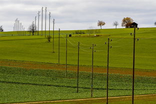 米兰体育app下载-球员体能负荷评估工具上线助力教练科学制定训练计划，体育负荷强度