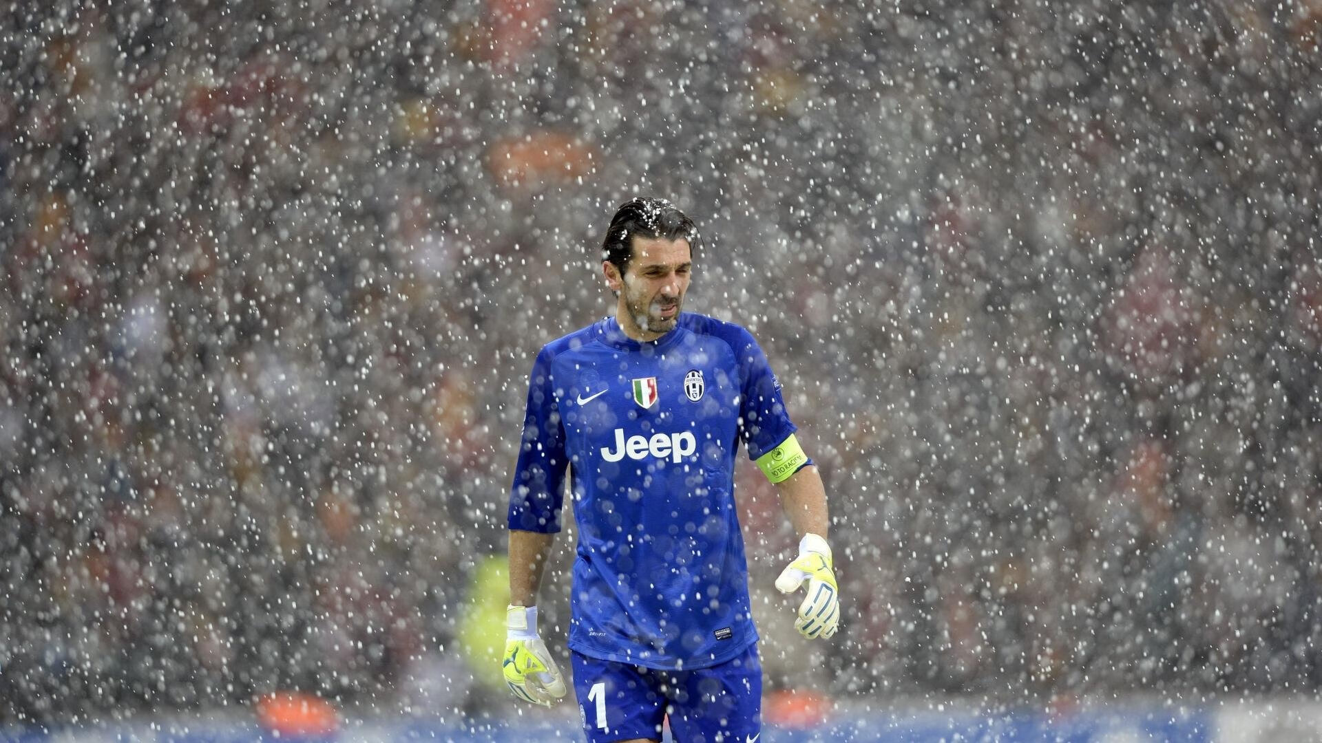 中国足球比赛场地草皮质量与滑倒伤害关联性研究,足球场常用草皮种类